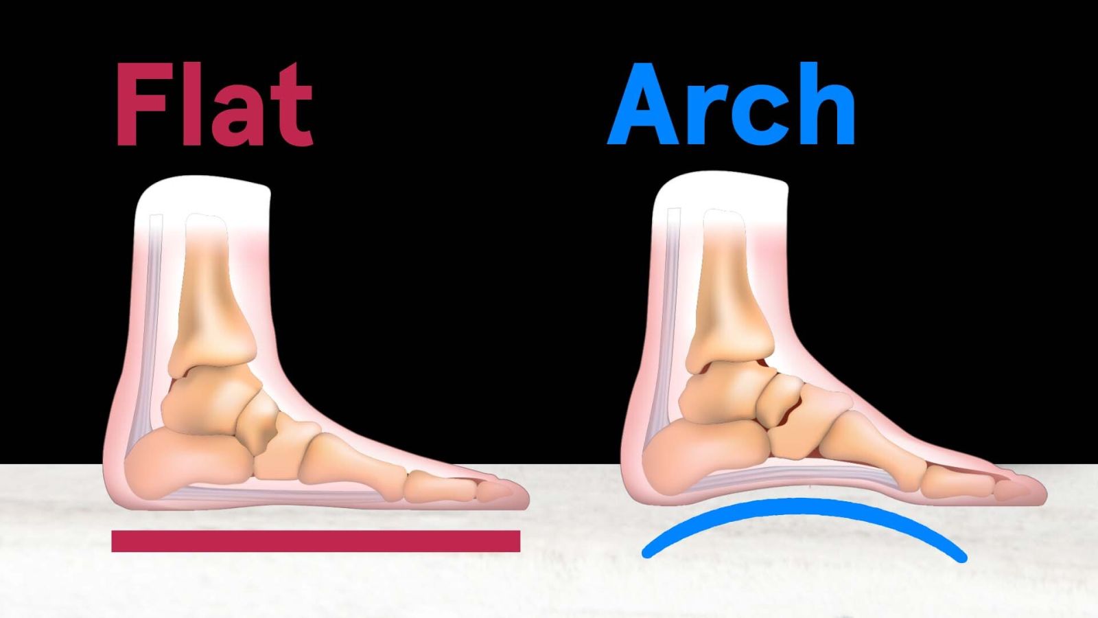 Every 'Useless' Body Part Explained From Head to Toe